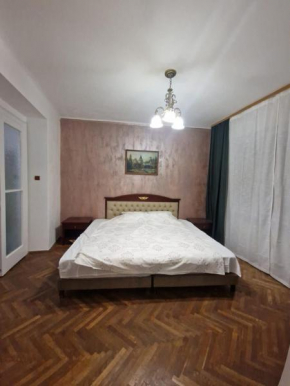 Nyko's Apartment